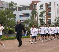 关于体操杯赛，滇池铁骑队与粤西海豚队鏖战，VAR改判成焦点！高压逼抢成功的信息