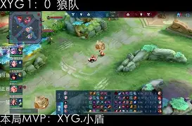 荆楚黑豹队对阵关东鲸鲨队，冰球公开赛险胜，内线统治篮板——边后卫成为亮点-爱游戏